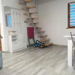 Na Mazurach -pieczarki *