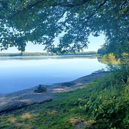 Na Mazurach -pieczarki * Pozezdrze