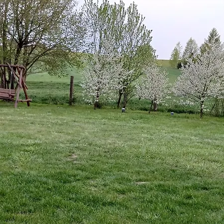 Na Mazurach -pieczarki *